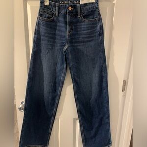 American Eagle Outfitters Curvy StovePipe Blue Jeans